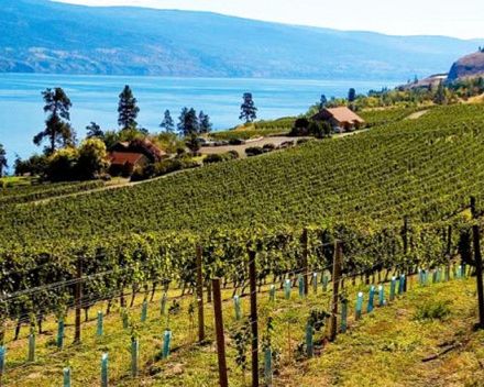 Wineries