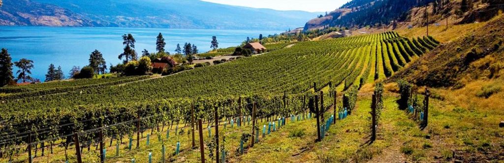 Wineries