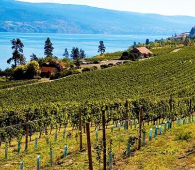 Wineries